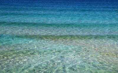 Are you All In? Lady Gaga Diving Deep with “Shallow”