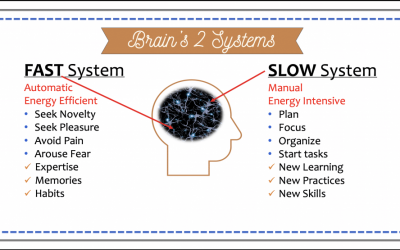 Brain’s Two Systems: FAST & SLOW