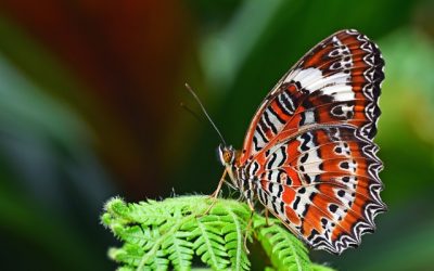 Small Habit Eliminates Big Frustration