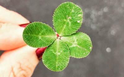 Let Yourself Believe