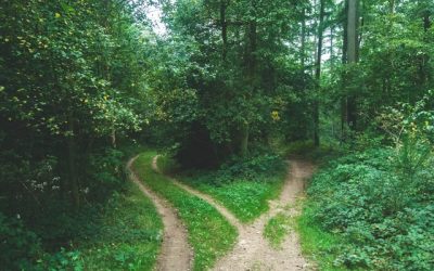 Too Much Time Decision-Making?